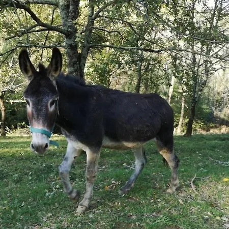 Gite Domaine Gavarnie Prázdninový dům Jurançon